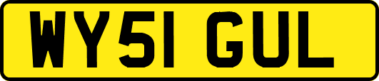 WY51GUL
