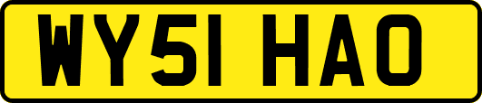 WY51HAO