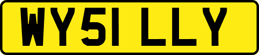 WY51LLY