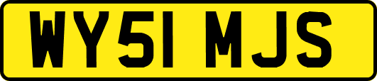 WY51MJS
