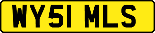 WY51MLS