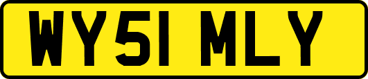 WY51MLY