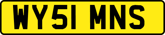 WY51MNS