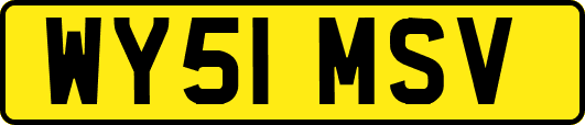 WY51MSV