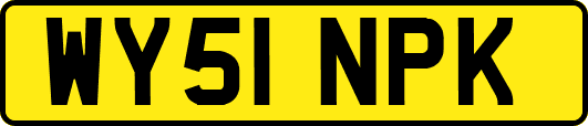 WY51NPK