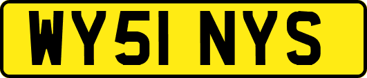 WY51NYS