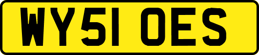 WY51OES
