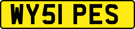 WY51PES