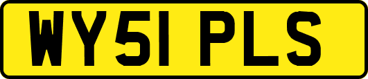 WY51PLS
