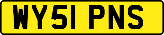 WY51PNS