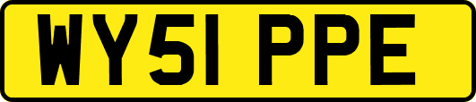 WY51PPE