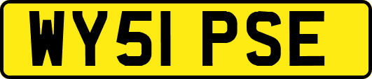 WY51PSE