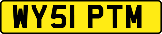 WY51PTM