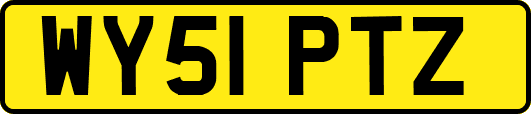 WY51PTZ