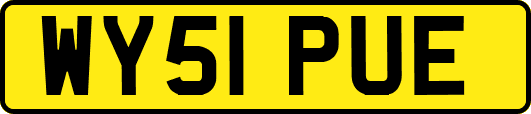 WY51PUE