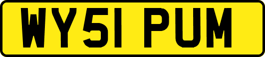 WY51PUM