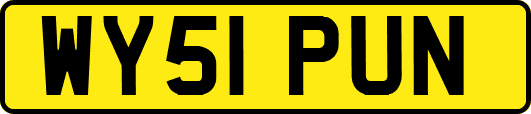 WY51PUN