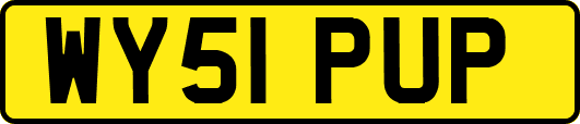 WY51PUP