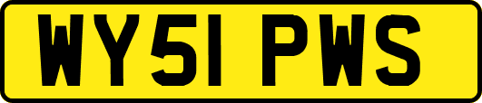 WY51PWS