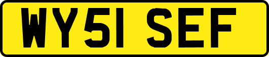 WY51SEF