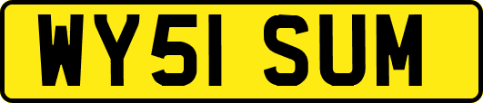 WY51SUM