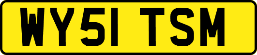 WY51TSM