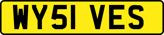 WY51VES