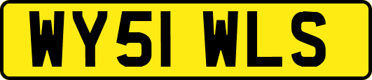 WY51WLS