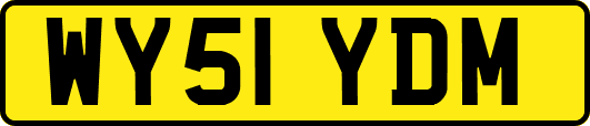 WY51YDM