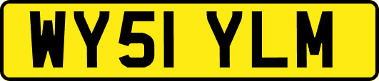 WY51YLM