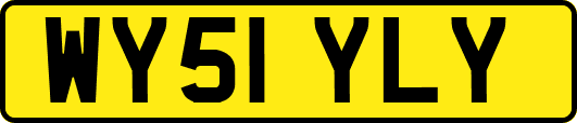 WY51YLY
