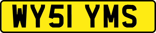 WY51YMS