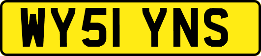 WY51YNS
