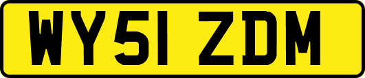 WY51ZDM