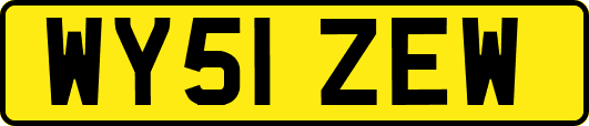 WY51ZEW