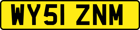 WY51ZNM