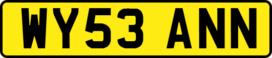 WY53ANN