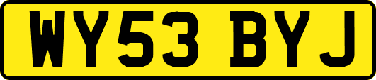 WY53BYJ