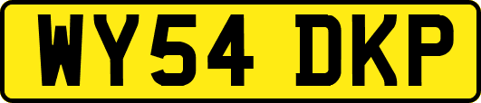 WY54DKP