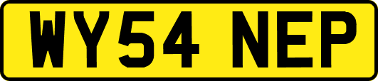WY54NEP