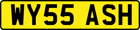 WY55ASH