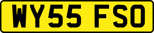 WY55FSO