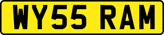 WY55RAM