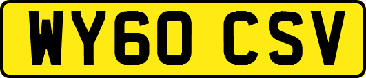 WY60CSV