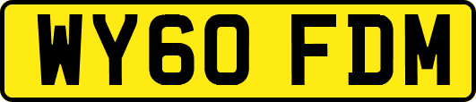 WY60FDM