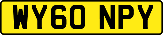 WY60NPY