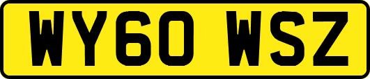 WY60WSZ