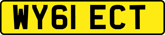 WY61ECT