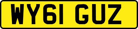 WY61GUZ