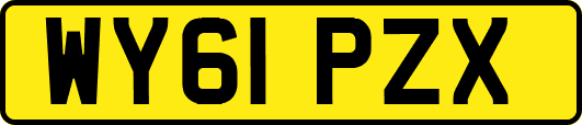 WY61PZX